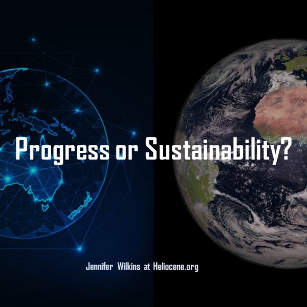 Progress or Sustainability