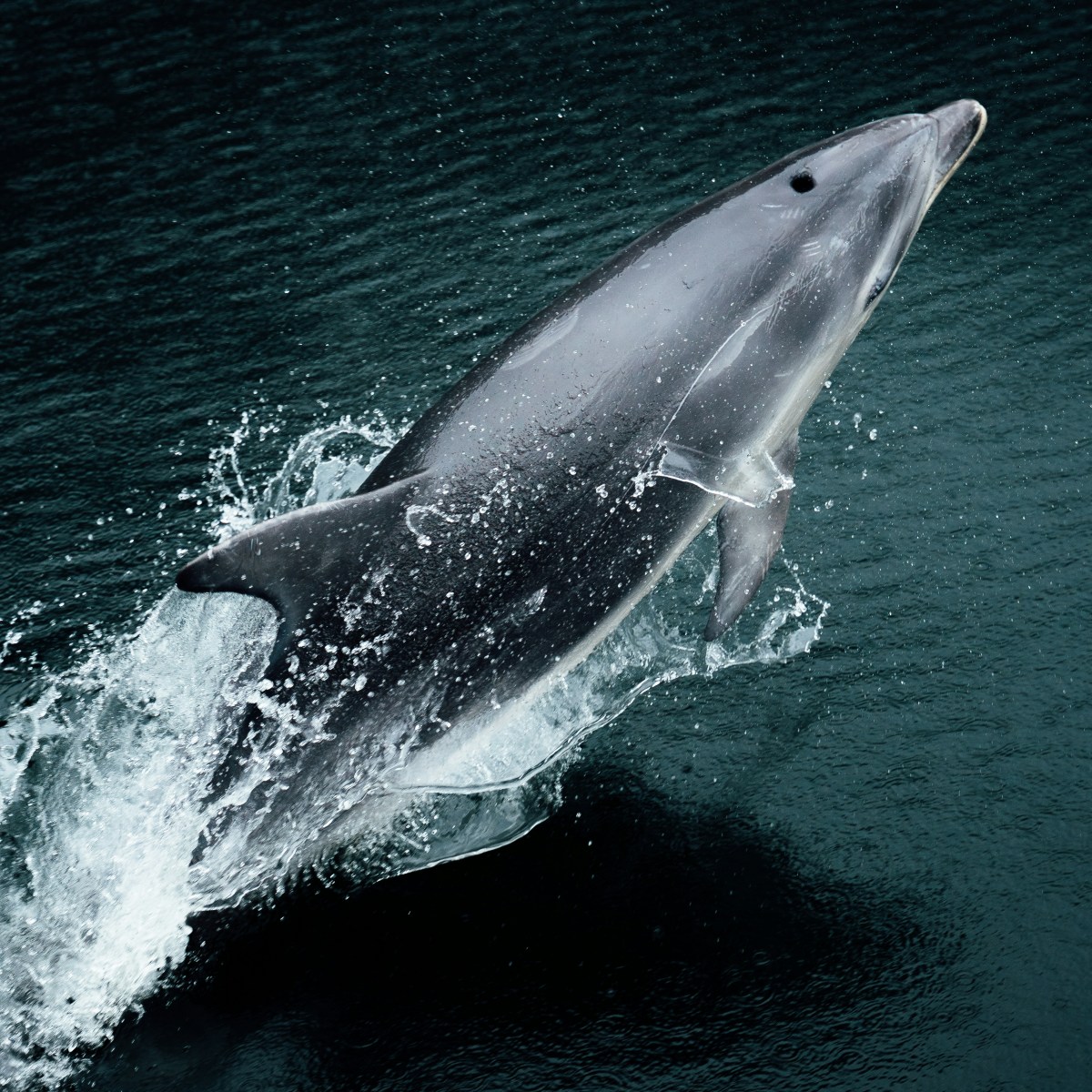 Submission on the Fast-track Approvals&nbsp;Bill