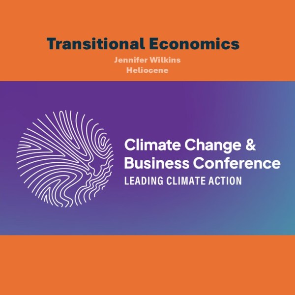 Transitional Economics