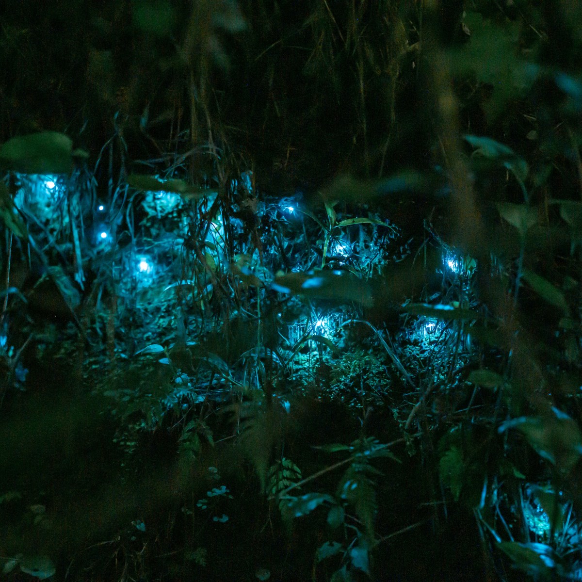 Social-ecological Movements