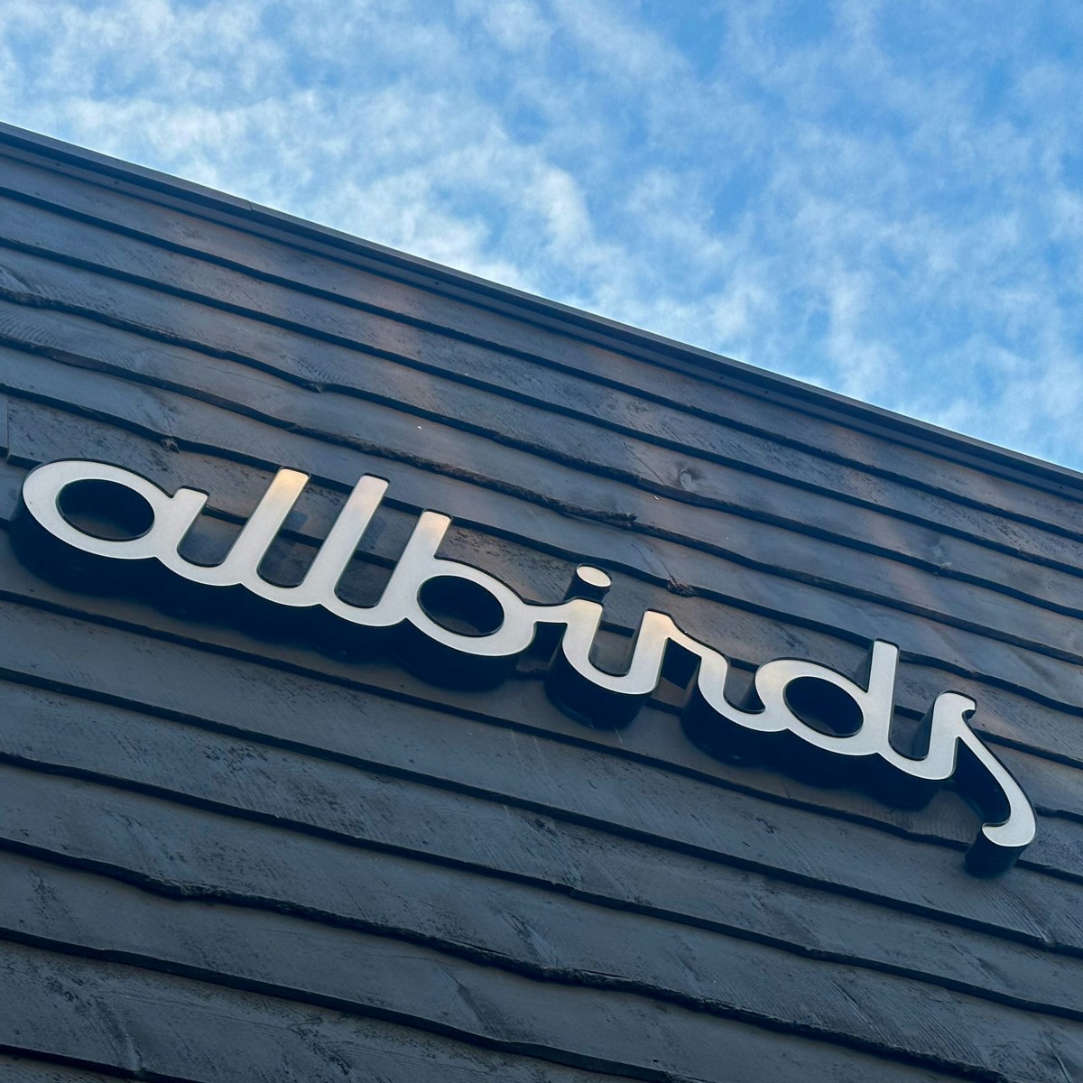 Allbirds: the Shoe, the Shell and Sustainable&nbsp;Investing